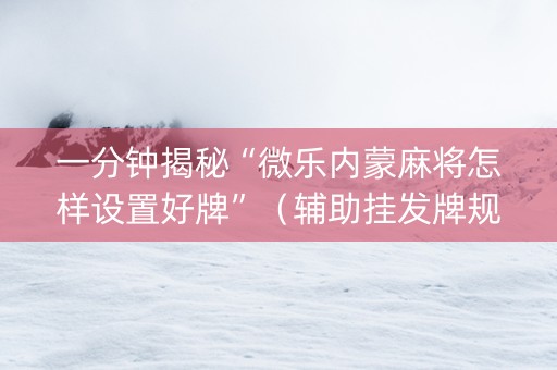 一分钟揭秘“微乐内蒙麻将怎样设置好牌”（辅助挂发牌规律)