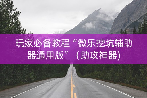 玩家必备教程“微乐挖坑辅助器通用版”（助攻神器)