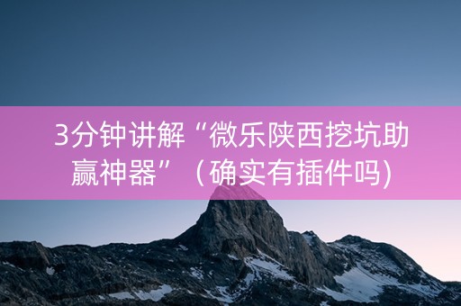 3分钟讲解“微乐陕西挖坑助赢神器”（确实有插件吗)