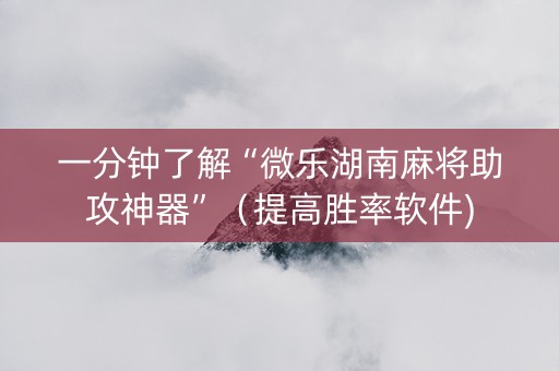 一分钟了解“微乐湖南麻将助攻神器”（提高胜率软件)
