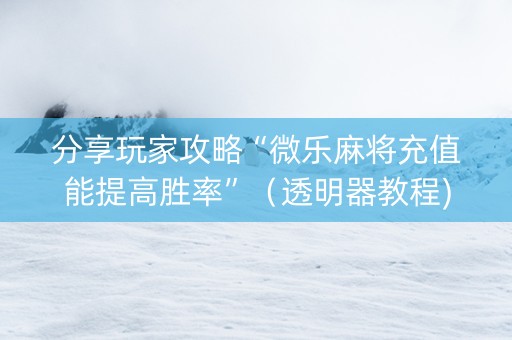 分享玩家攻略“微乐麻将充值能提高胜率”（透明器教程)