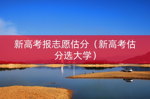 新高考报志愿估分（新高考估分选大学）