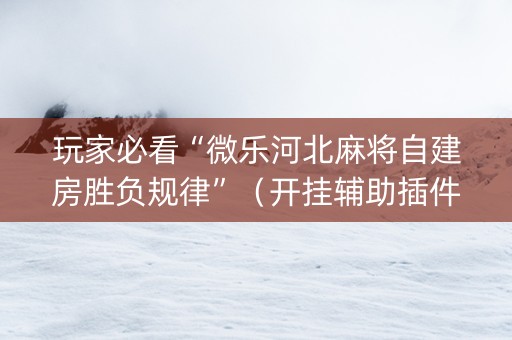 玩家必看“微乐河北麻将自建房胜负规律”（开挂辅助插件)