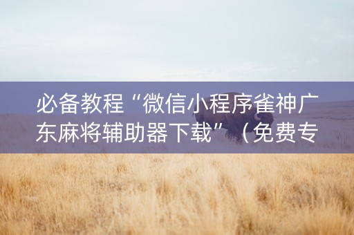 必备教程“微信小程序雀神广东麻将辅助器下载”（免费专用神器)