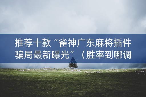 推荐十款“雀神广东麻将插件骗局最新曝光”（胜率到哪调)
