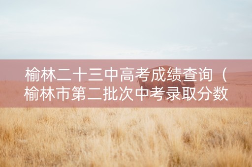 榆林二十三中高考成绩查询（榆林市第二批次中考录取分数）