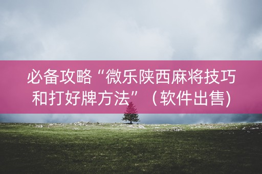 必备攻略“微乐陕西麻将技巧和打好牌方法”（软件出售)