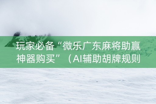 玩家必备“微乐广东麻将助赢神器购买”（AI辅助胡牌规则)