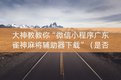 大神教教你“微信小程序广东雀神麻将辅助器下载”（是否能开挂)