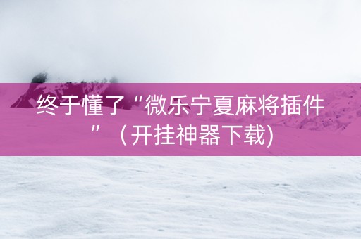 终于懂了“微乐宁夏麻将插件”（开挂神器下载)