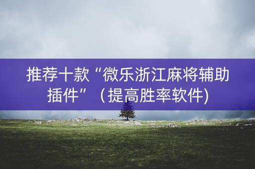 推荐十款“微乐浙江麻将辅助插件”（提高胜率软件)