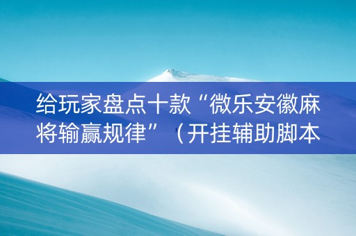 给玩家盘点十款“微乐安徽麻将输赢规律”（开挂辅助脚本)