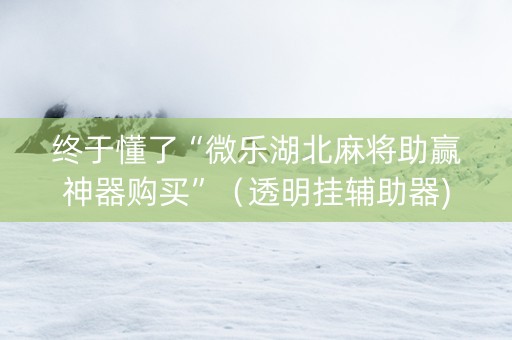 终于懂了“微乐湖北麻将助赢神器购买”（透明挂辅助器)