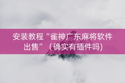 安装教程“雀神广东麻将软件出售”（确实有插件吗)