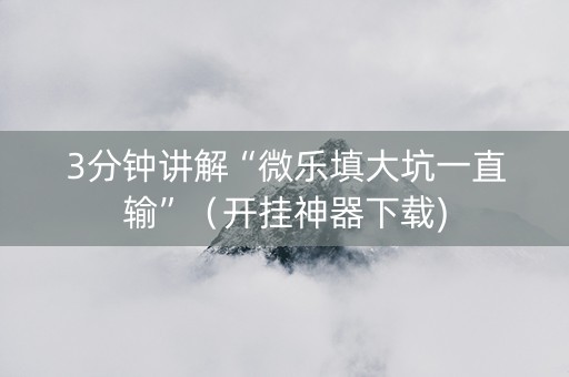 3分钟讲解“微乐填大坑一直输”（开挂神器下载)