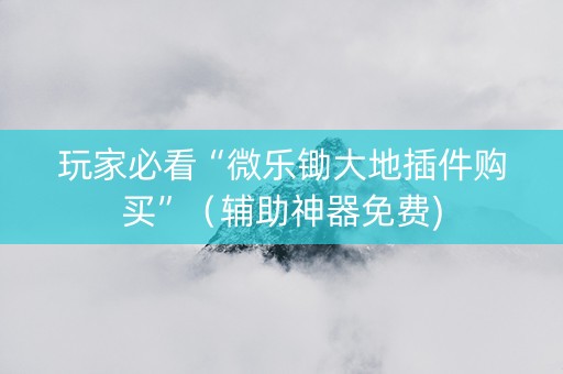 玩家必看“微乐锄大地插件购买”（辅助神器免费)
