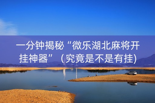 一分钟揭秘“微乐湖北麻将开挂神器”（究竟是不是有挂)