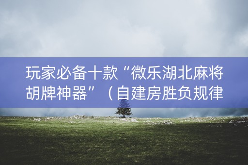 玩家必备十款“微乐湖北麻将胡牌神器”（自建房胜负规律)