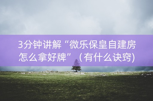 3分钟讲解“微乐保皇自建房怎么拿好牌”（有什么诀窍)