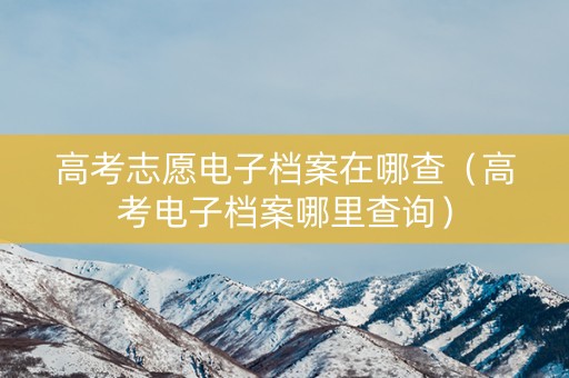 高考志愿电子档案在哪查（高考电子档案哪里查询）