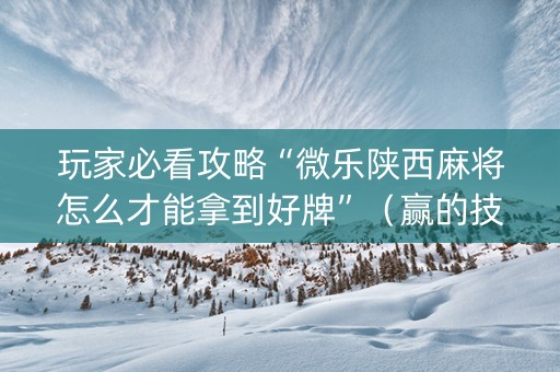 玩家必看攻略“微乐陕西麻将怎么才能拿到好牌”（赢的技巧规律)