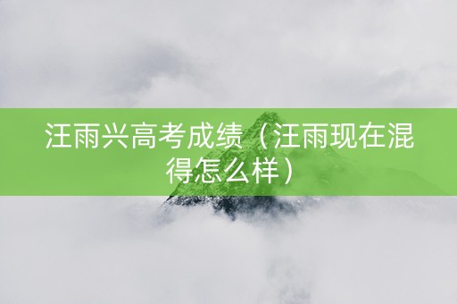 汪雨兴高考成绩（汪雨现在混得怎么样）