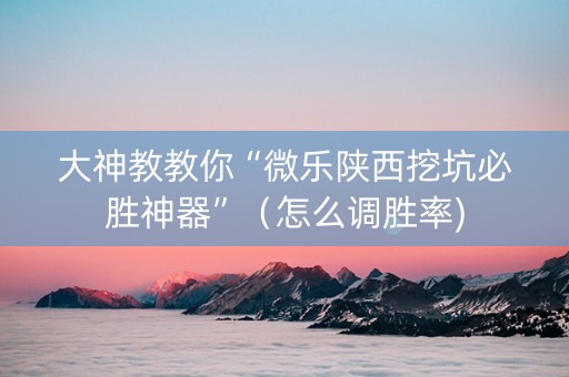 大神教教你“微乐陕西挖坑必胜神器”（怎么调胜率)