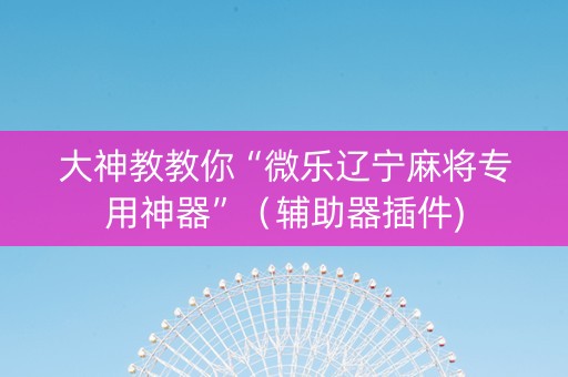 大神教教你“微乐辽宁麻将专用神器”（辅助器插件)