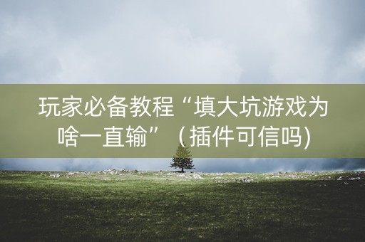 玩家必备教程“填大坑游戏为啥一直输”（插件可信吗)