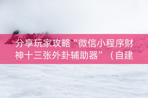 分享玩家攻略“微信小程序财神十三张外卦辅助器”（自建房胜负规律)