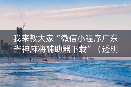 我来教大家“微信小程序广东雀神麻将辅助器下载”（透明挂辅助器)