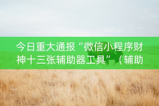 今日重大通报“微信小程序财神十三张辅助器工具”（辅助神器免费)