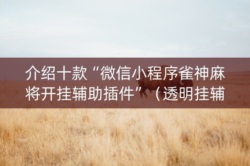 介绍十款“微信小程序雀神麻将开挂辅助插件”（透明挂辅助器)