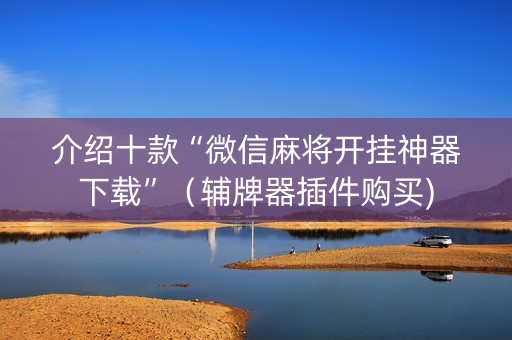 介绍十款“微信麻将开挂神器下载”（辅牌器插件购买)