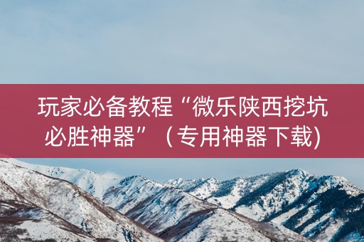 玩家必备教程“微乐陕西挖坑必胜神器”（专用神器下载)