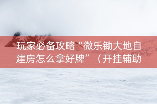 玩家必备攻略“微乐锄大地自建房怎么拿好牌”（开挂辅助脚本)