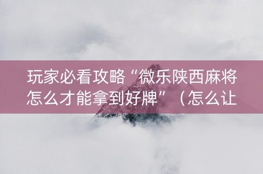 玩家必看攻略“微乐陕西麻将怎么才能拿到好牌”（怎么让系统给你发好牌)
