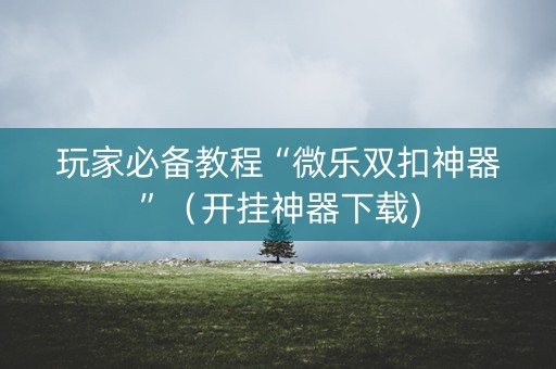 玩家必备教程“微乐双扣神器”（开挂神器下载)