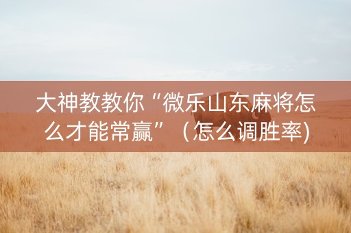 大神教教你“微乐山东麻将怎么才能常赢”（怎么调胜率)
