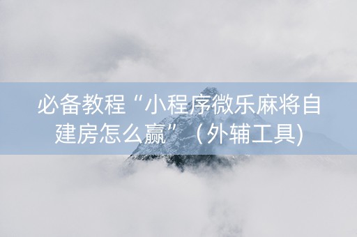 必备教程“小程序微乐麻将自建房怎么赢”（外辅工具)