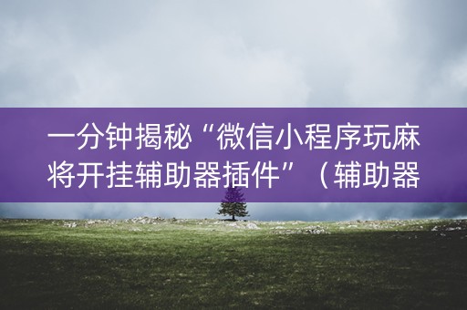 一分钟揭秘“微信小程序玩麻将开挂辅助器插件”（辅助器下载)