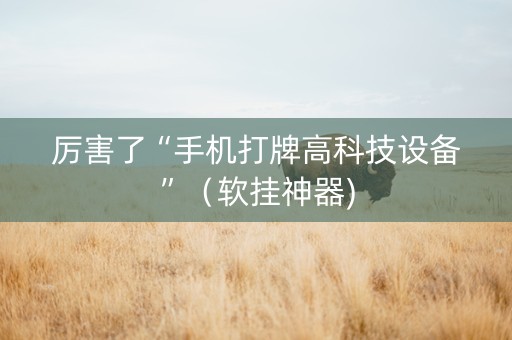 厉害了“手机打牌高科技设备”（软挂神器)