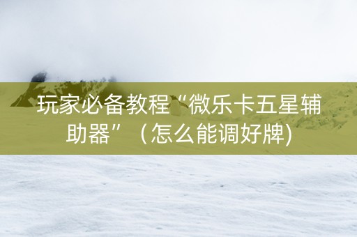玩家必备教程“微乐卡五星辅助器”（怎么能调好牌)