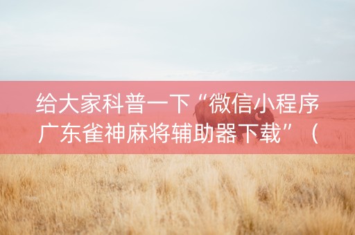 给大家科普一下“微信小程序广东雀神麻将辅助器下载”（开挂辅助插件)