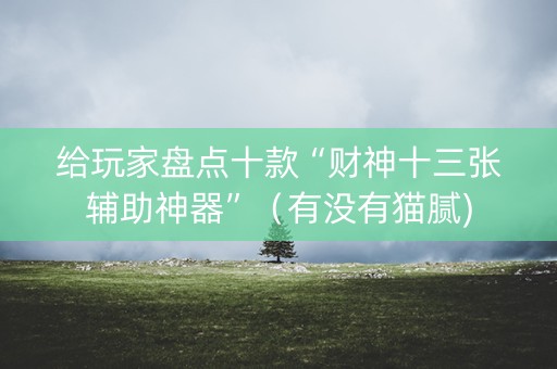 给玩家盘点十款“财神十三张辅助神器”（有没有猫腻)