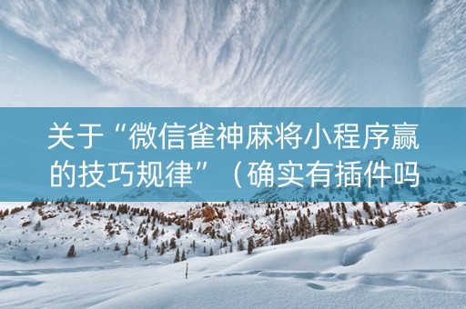 关于“微信雀神麻将小程序赢的技巧规律”（确实有插件吗)