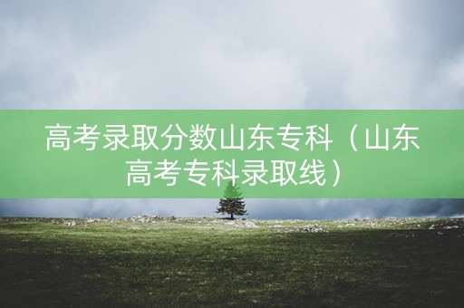 高考录取分数山东专科（山东高考专科录取线）