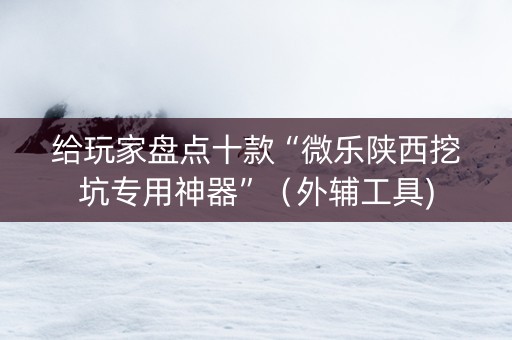 给玩家盘点十款“微乐陕西挖坑专用神器”（外辅工具)