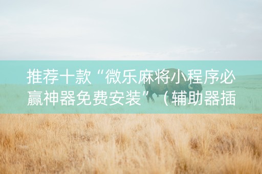 推荐十款“微乐麻将小程序必赢神器免费安装”（辅助器插件)
