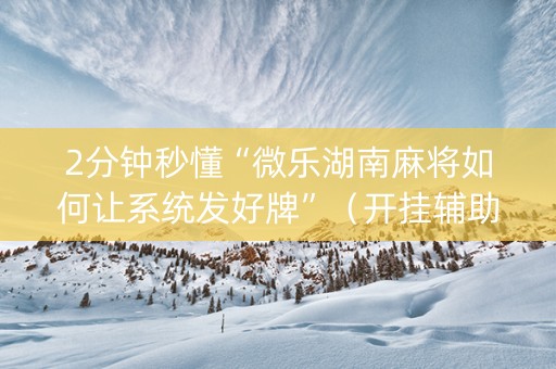 2分钟秒懂“微乐湖南麻将如何让系统发好牌”（开挂辅助脚本)
